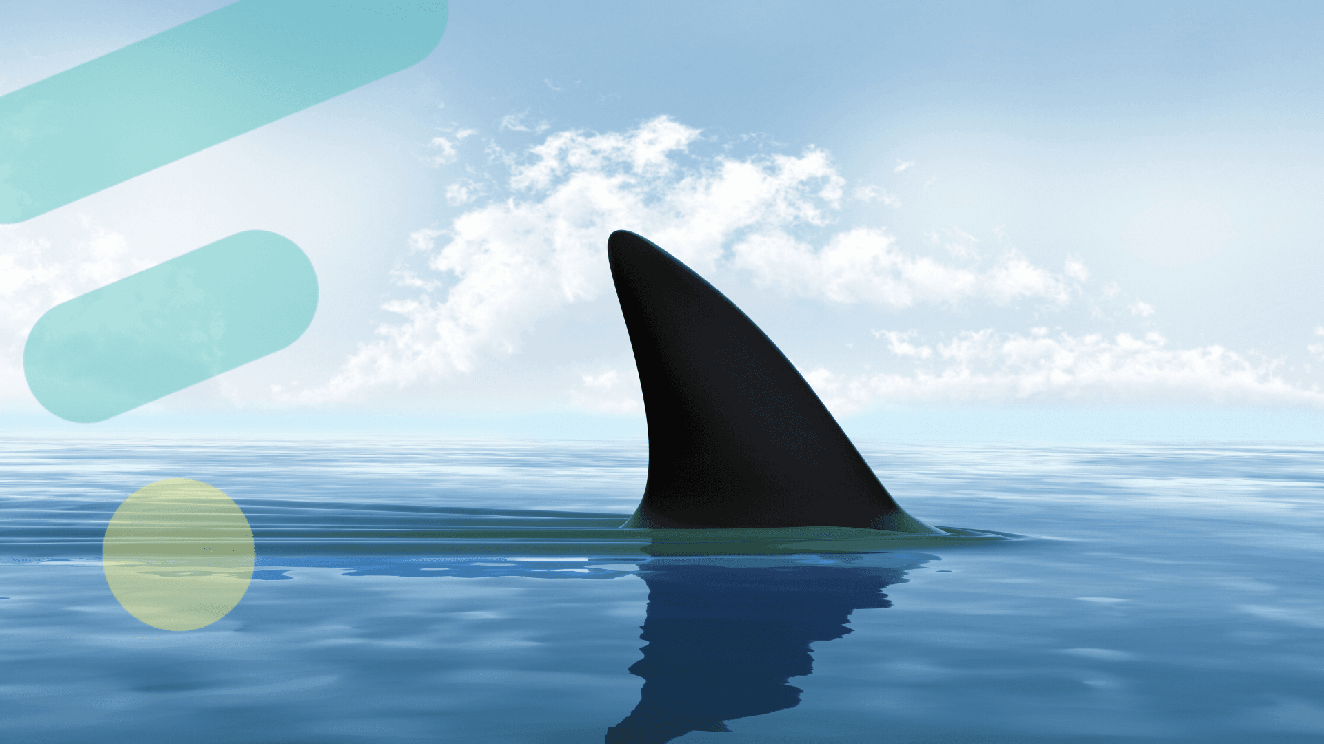 Avoiding Loan Sharks: The Dangers of Unregulated Lending in South Africa