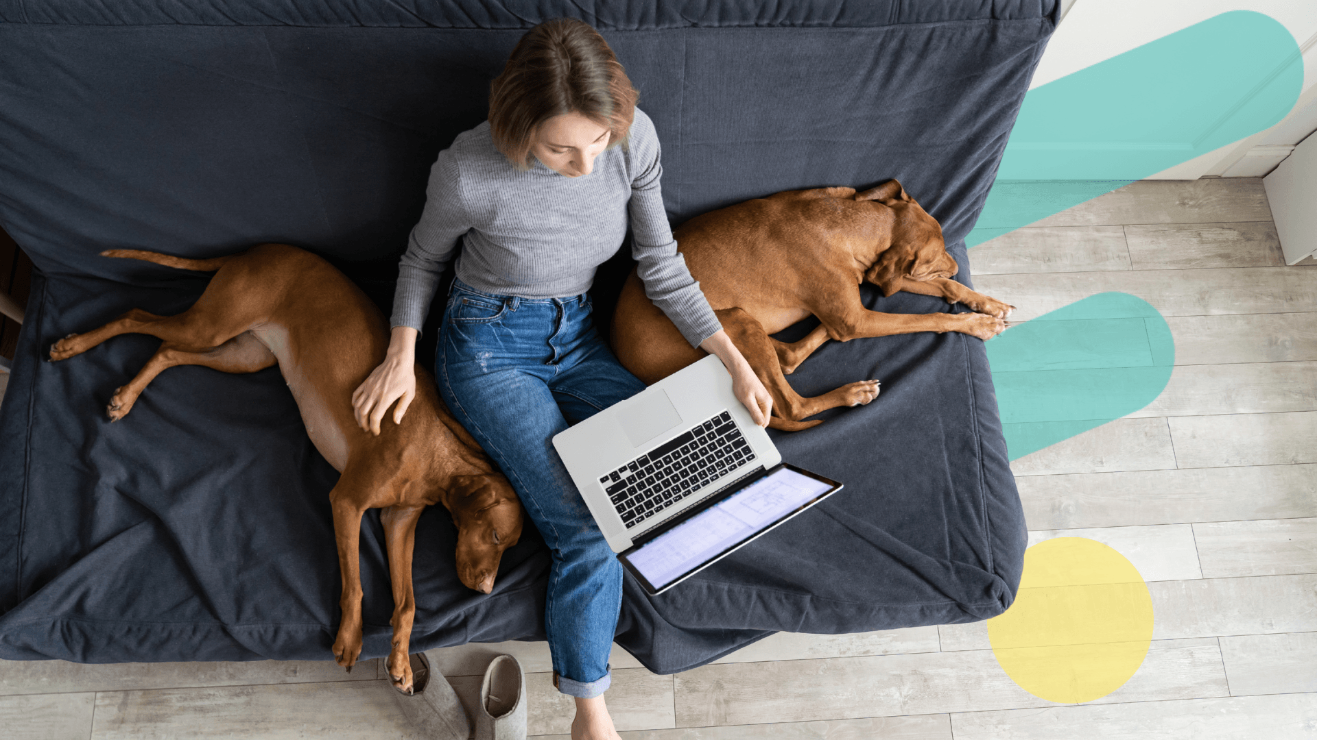 How Soaring Vet Costs Are Taking a Financial Bite Out of Pet Owners’ Budgets